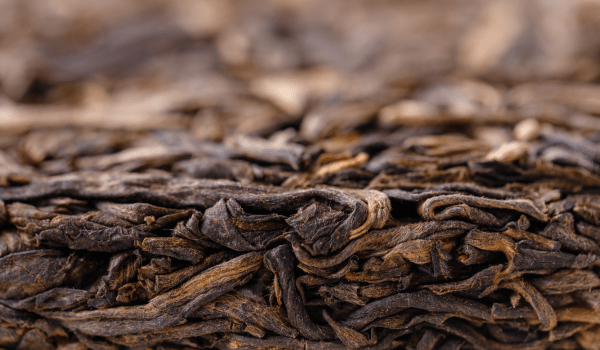 A deep dive into our current ripe puerh offerings (part 1) - The Steeping Room