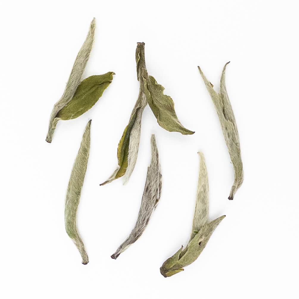 Fuding Silver Needle White Tea from China