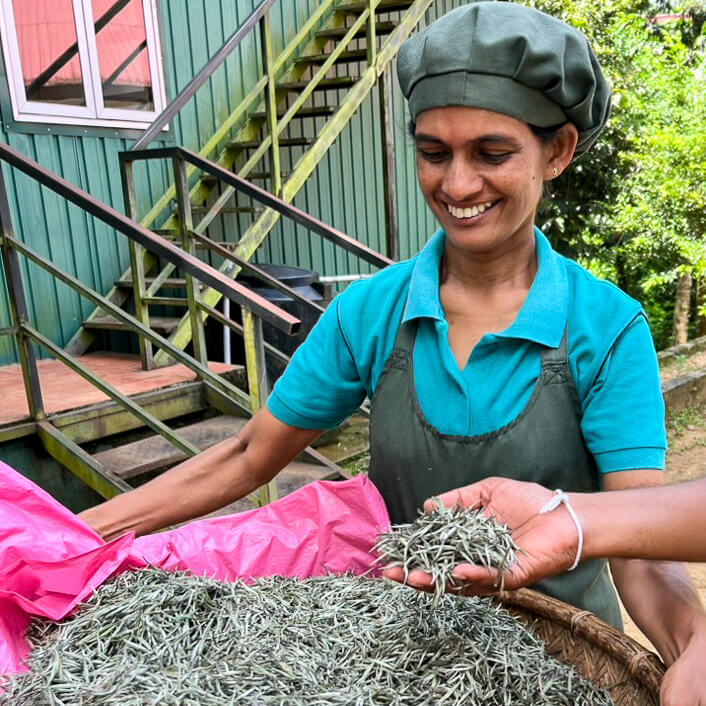 Sri Lankan Ceylon Artisan Tea Sampler Set 